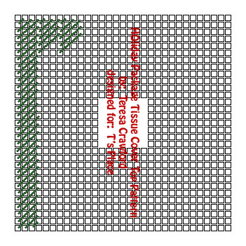 Holiday Package Tissue Cover Top Pattern